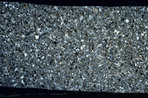 Cross Polarized, S98725