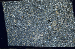 Cross Polarized, S98729