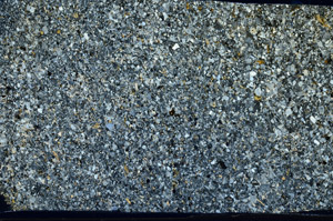 Cross Polarized, S98730