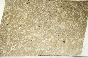 Plane Polarized, S98731