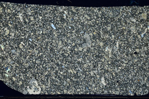 Cross Polarized, S98732