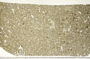 Plane Polarized, S98732