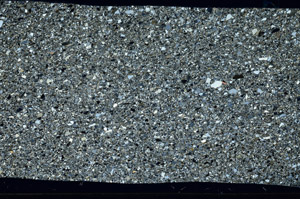 Cross Polarized, S98733