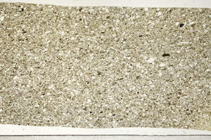 Plane Polarized, S98733