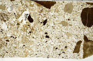 Plane Polarized, S98739