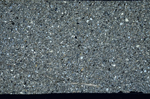 Cross Polarized, S98747
