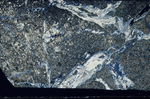 Cross Polarized, S98750