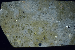 Cross Polarized, S98756