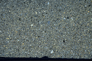 Cross Polarized, S98759