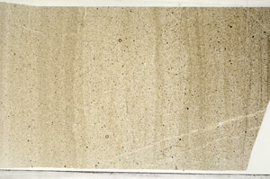 Plane Polarized, S98764