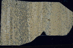 Cross Polarized, S98765