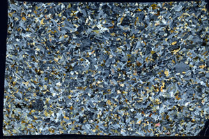 Cross Polarized, S98770