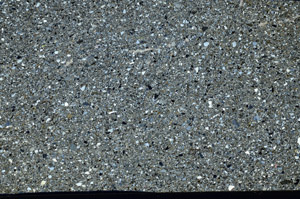 Cross Polarized, S98772