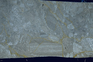 Cross Polarized, S98777