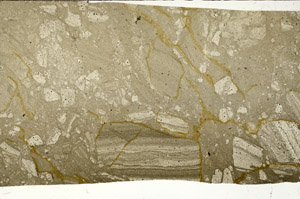 Plane Polarized, S98777