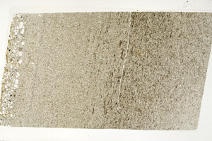 Plane Polarized, S98779