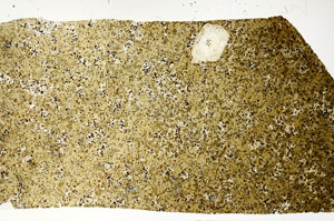 Plane Polarized, S98781