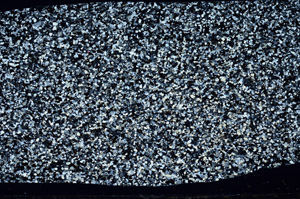 Cross Polarized, S98794