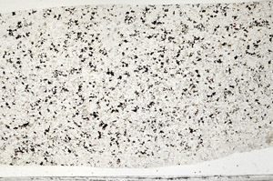 Plane Polarized, S98794