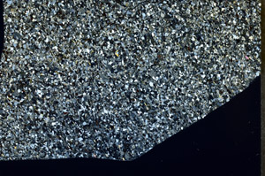 Cross Polarized, S98796