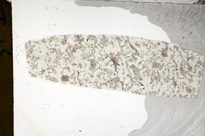 Plane Polarized, S98830