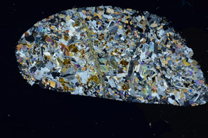 Cross Polarized, S98831