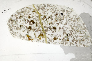 Plane Polarized, S98831