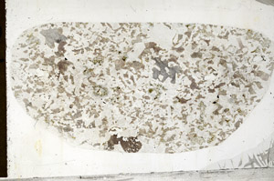 Plane Polarized, S98832