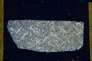 Cross Polarized, S98840