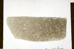 Plane Polarized, S98840