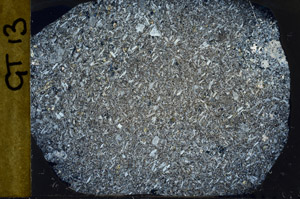 Cross Polarized, S98842