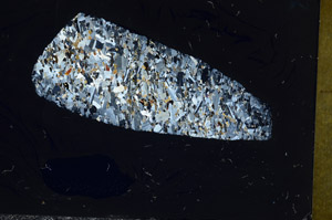 Cross Polarized, S98844