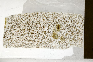 Plane Polarized, S98847