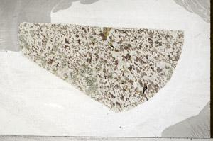 Plane Polarized, S98848