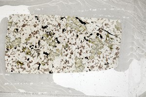 Plane Polarized, S98851