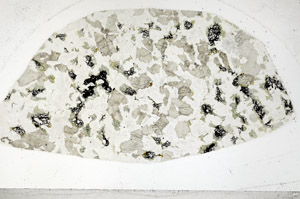 Plane Polarized, S98860