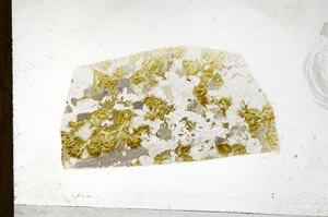 Plane Polarized, S98861