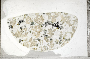 Plane Polarized, S98862