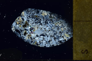 Cross Polarized, S98863