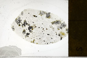 Plane Polarized, S98863