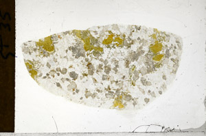 Plane Polarized, S98864