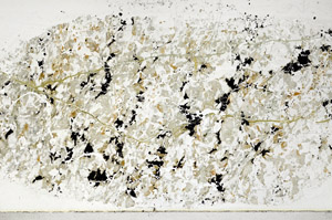 Plane Polarized, S98895