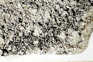 Plane Polarized, S98896