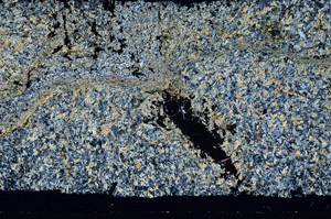 Cross Polarized, S98897