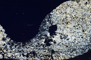 Cross Polarized, S98903