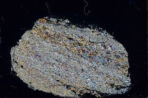 Cross Polarized, S98907