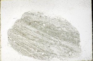 Plane Polarized, S98907