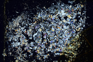 Cross Polarized, S98908/B