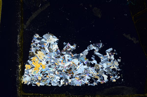 Cross Polarized, S98908/C