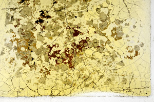 Plane Polarized, S98915
